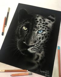 Пантера-Леопард. В наличии, 23×35, сухая пастель; пастельные карандаши; пастельная бумага. Без рамы. Цена 7000 ₽
