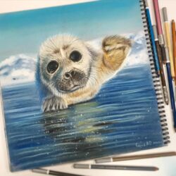 Детёныш нерпы, Выполню на заказ. 30×30, сухая пастель, пастельные карандаши, пастельная бумага. Оформлена в раму. Цена 6500 ₽