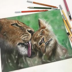 Нежность. В наличии, 23×35, сухая пастель; пастельные карандаши; пастельная бумага. Без рамы. Цена 8000 ₽