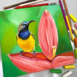 Яркая колибри. В наличии, 23×24, сухая пастель, пастельные карандаши, пастельная бумага. Без рамы. Цена 4500 ₽