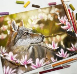 Волк в цветах. В наличии, 25x33, сухая пастель, пастельные карандаши, пастельная бумага. Оформлена в раму. Цена 6900 ₽.