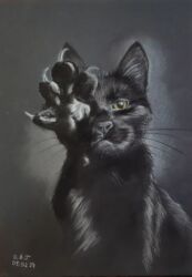 Кошачий Инь, Гайгерова Ольга, 2024. 210×297, пастель кохинор, пастельные карандаши Derwent, бумага крафт Малевич.