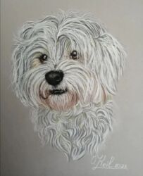 Джим, Ольга Кайль, 2023. 30×40, пастельмат, карандаши Faber-Castell, мелки Bleiswijck