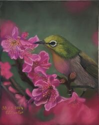 Птичка на цветущей ветке, Дробот Е.Е., 2024, pastelmate цвет индиго, размер 24х30 см, пастель коh-i-nооr, мунгио, Гамма, карандаши Стабило, коh-i-nооr, faber castel. По МК Серой А.
