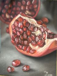 Гранат, Наталья Ивина, 2023, бумага Pastelmat, 18x24. Самостоятельная работа