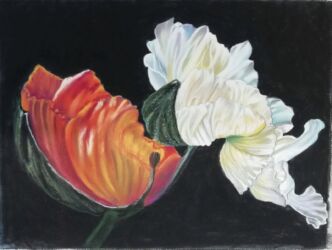 Маковая любовь, Галина Родимова, 2023, сухая пастель, бумага Pastelmat 30х40. Самостоятельная работа.