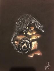 Чёрная на чёрном (ящерица), Маргарита Шарова, по МК в "Мастерской пастелистов"