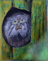 Манул, Ольга Скрябина, бумага Pastelmat А4. По МК Серой А.