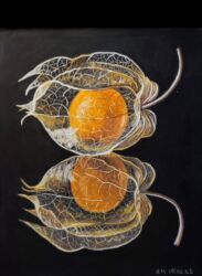 Физалис, Янбулатова Н.Р., бумага Pastelmat 24*30, пастель, пастельные карандаши, по уроку Серой А.