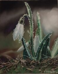 Нежный подснежник, Говорунова Н.Ю., 24х30, пастель МUNGYO , бумага Pastelmat